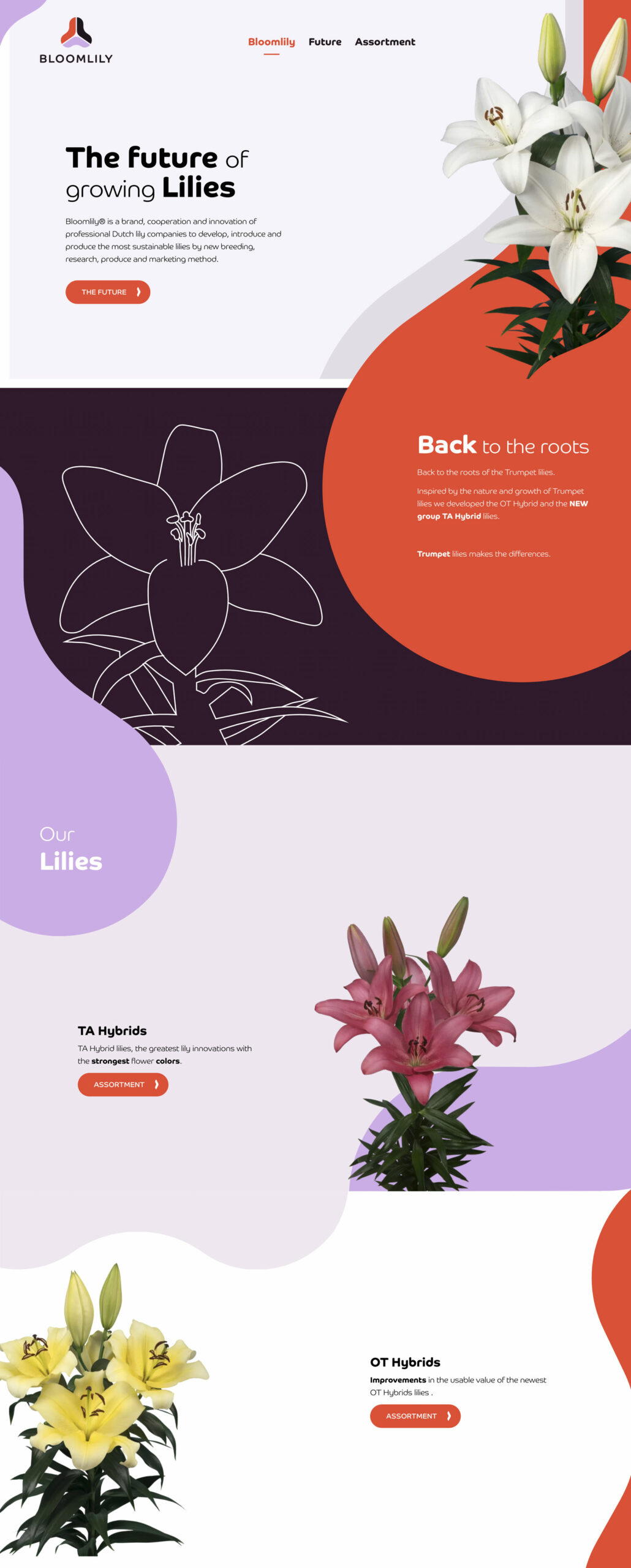 Homepage website Bloomlily