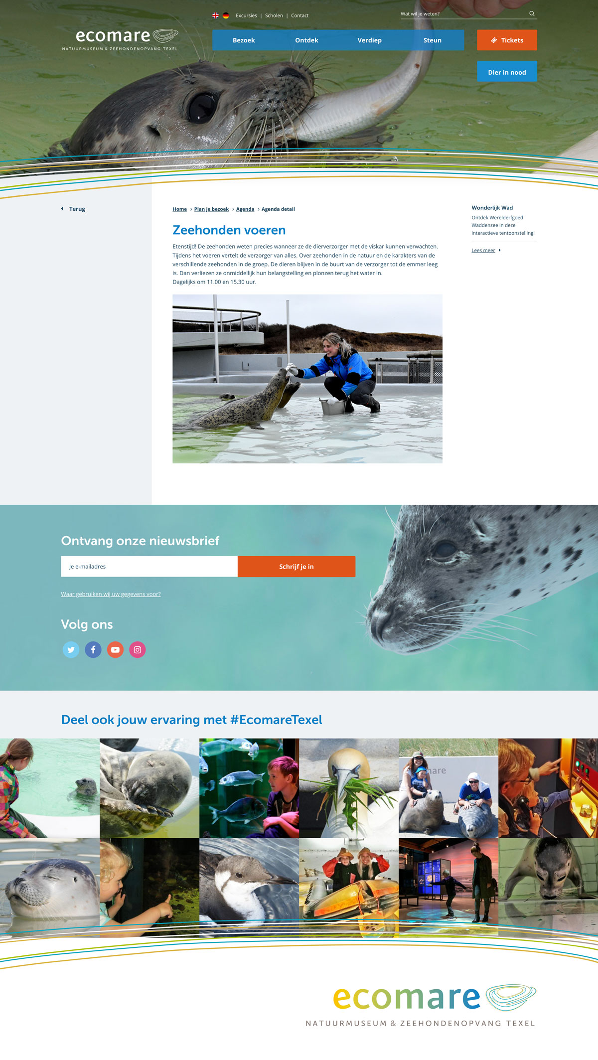 Zeehonden pagina website Ecomare